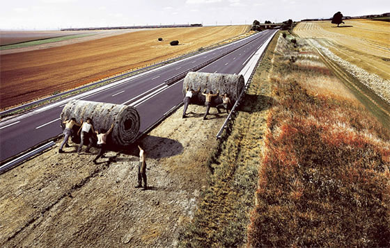 企業(yè)文(wén)化(huà)